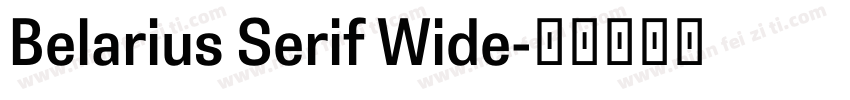 Belarius Serif Wide字体转换